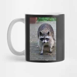 Fat Raccoon Print Mug